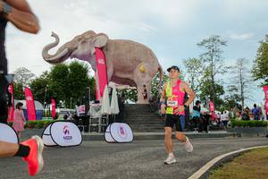 BIB: 
                            <button type="button" onclick="openModal(26529029)" class="btn btn-primary btn-sm float-right btn-popup" data-toggle="modal" data-target=".modal-high-quality">
                        <i class="fas fa-shopping-cart"></i> Add to Cart
                    </button>
                                            <button type="button" onclick="isThisMe(26529029, true)" class="btn btn-success btn-sm float-right btn-popup btn-isme hidden" data-toggle="tooltip" data-placement="bottom" title="นี่คือรูปของคุณใช่ไหม คลิกที่นี่เพื่อเอาเข้าอัลบั้ม">
                        <i class="fas fa-plus"></i> Add to album
                    </button>
                    <button type="button" onclick="isThisMe(26529029, false)" class="btn btn-warning btn-sm float-right btn-popup btn-isnotme hidden">
                        <i class="fas fa-ban"></i> Remove from album
                    </button>